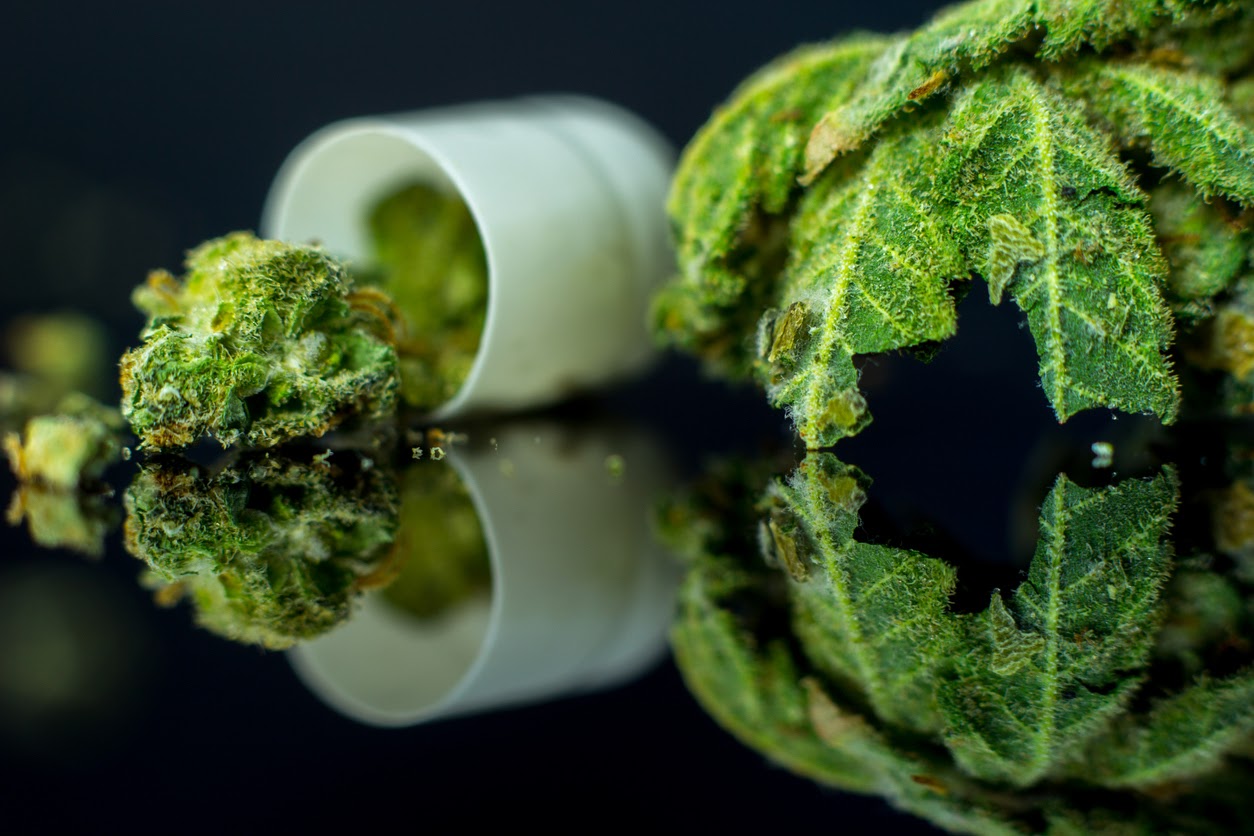How To Get A Medical Marijuana Card In Michigan