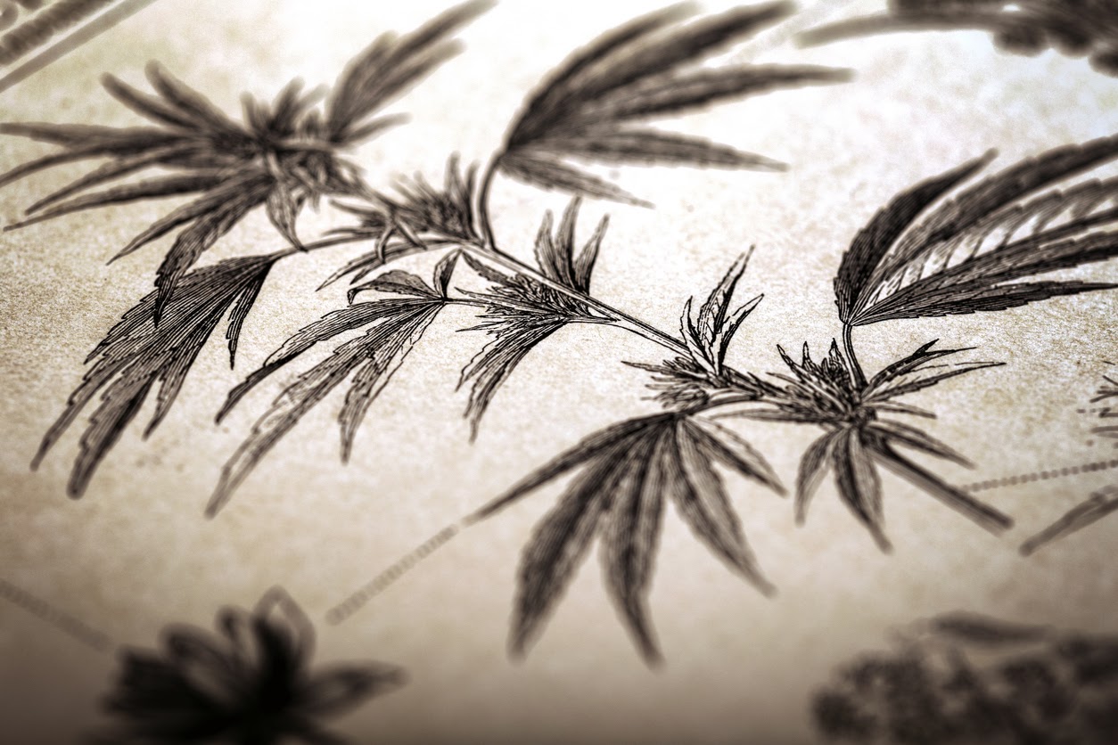 History Of Medical and Recreational Marijuana in Massachussetts