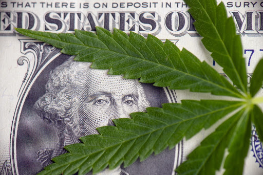 History Of Medical Marijuana in Michigan
