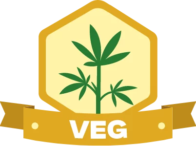 rewards-veg Rewards Veg Tier
